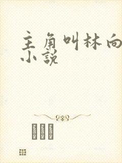 主角叫林向南的小说封面