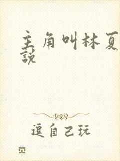 主角叫林夏的小说封面