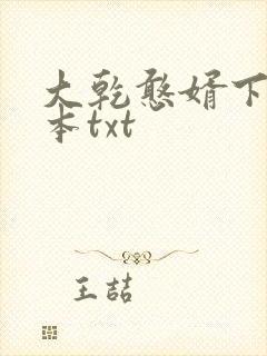 大乾憨婿下载全本txt封面