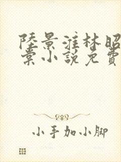 陆景淮林昭沈千棠小说免费阅读最新章节