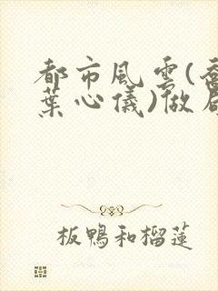 都市风云(乔梁叶心仪)做局