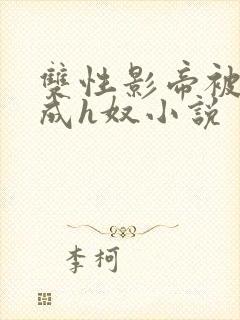 双性影帝被调教成h奴小说封面