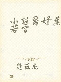 小说医婿叶凡唐若雪