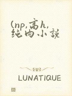 (np,高h,纯肉小说