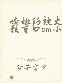 娇嫩的被大粗调教重口sm小说封面