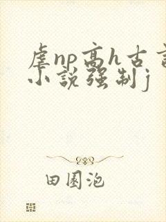 虐np高h古言小说强制j