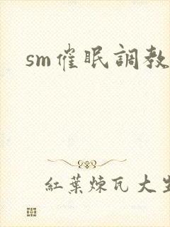 sm催眠调教文