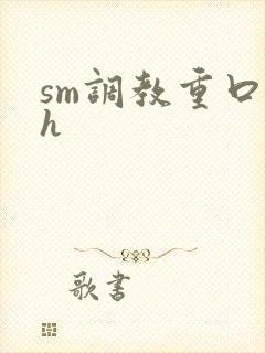 sm调教重口高h