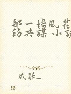 那一场风花雪月的共谋 小说完整