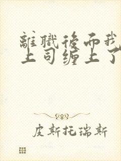 离职后面我被前上司缠上了封面