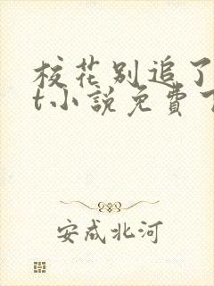 校花别追了txt小说免费下载封面