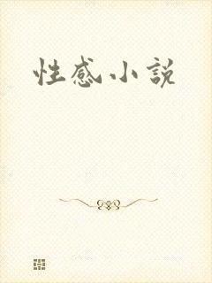性感小说