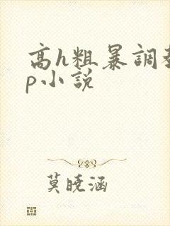 高h粗暴调教np小说