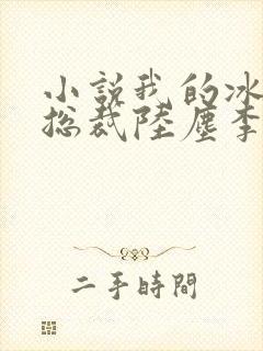 小说我的冰山女总裁陆尘李清瑶