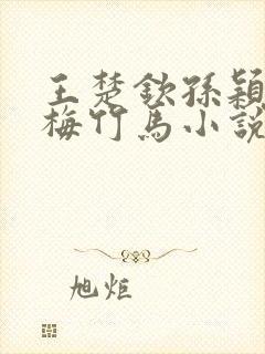 王楚钦孙颖莎青梅竹马小说