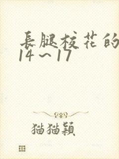 长腿校花的呻吟14～17