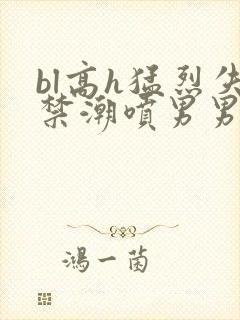 bl高h猛烈失禁潮喷男男教室