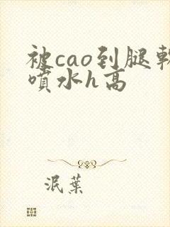 被cao到腿软喷水h高封面