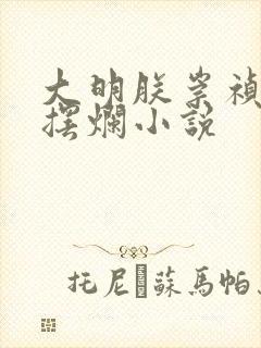 大明朕崇祯只想摆烂小说封面