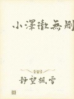 小泽彻无删减版