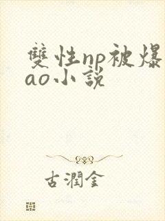 双性np被爆cao小说封面