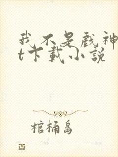 我不是戏神txt下载小说封面