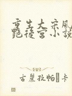 重生大宋风流猎艳后宫小说