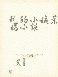 我的小姨叶凡司嫣小说