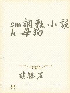 sm调教小说高h 母狗封面