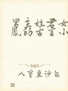 男主姓君女主姓凤的古言小说