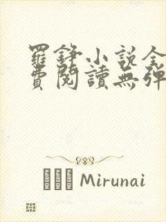 罗铮小说全文免费阅读无弹窗