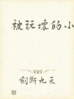 被玩坏的小美人封面