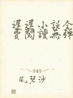 迟迟小说全文免费阅读无弹窗