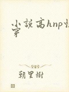 小说高hnp快穿