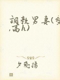 调教男妻(双性,高h)封面