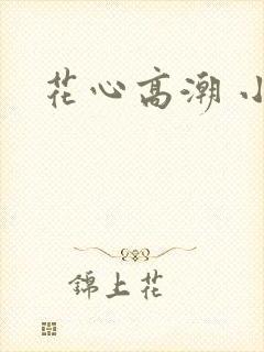 花心高潮 小说封面