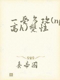 一受多攻(np高h)双性