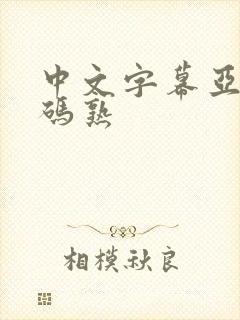 中文字幕亚洲乱码熟封面