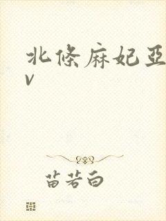 北条麻妃亚洲av