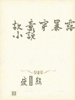 故意穿暴露被强小说