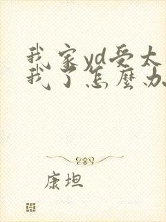 我家yd受太爱我了怎么办