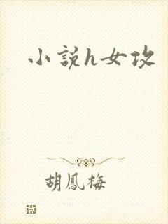 小说h女攻封面
