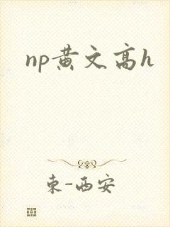 np黄文高h