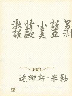 激情小说另类小说欧美亚洲封面