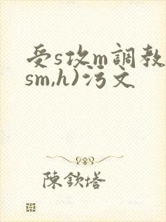 受s攻m调教(sm,h)污文