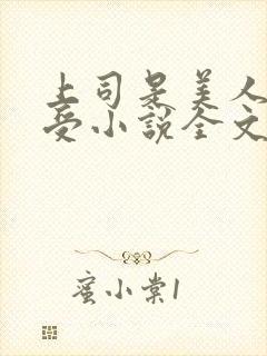 上司是美人主角受小说全文免费