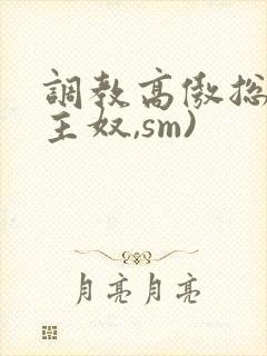 调教高傲总裁(主奴,sm)封面