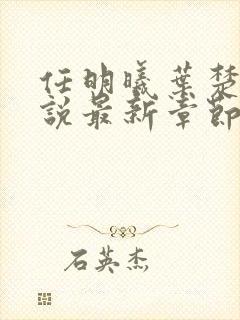 任明曦叶楚木小说最新章节阅读地址封面