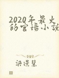 2020年最火的官场小说