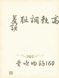 羞耻调教高h小说